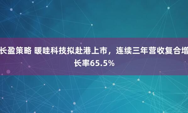长盈策略 暖哇科技拟赴港上市，连续三年营收复合增长率65.5%