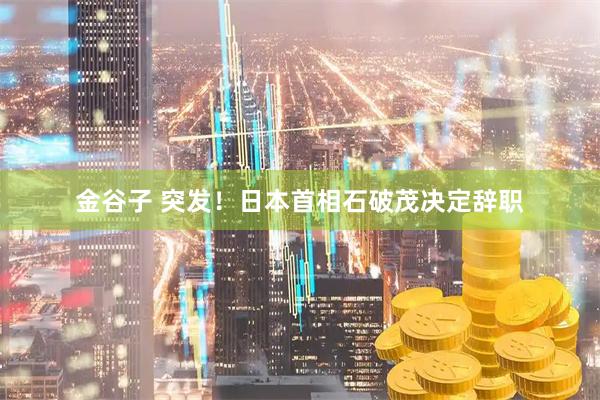金谷子 突发！日本首相石破茂决定辞职