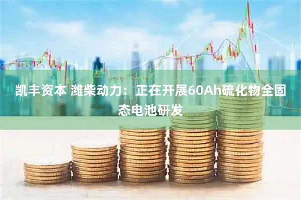 凯丰资本 潍柴动力：正在开展60Ah硫化物全固态电池研发
