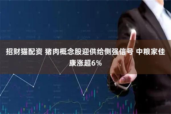 招财猫配资 猪肉概念股迎供给侧强信号 中粮家佳康涨超6%