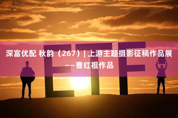 深富优配 秋韵（267）| 上游主题摄影征稿作品展——曹红祖作品