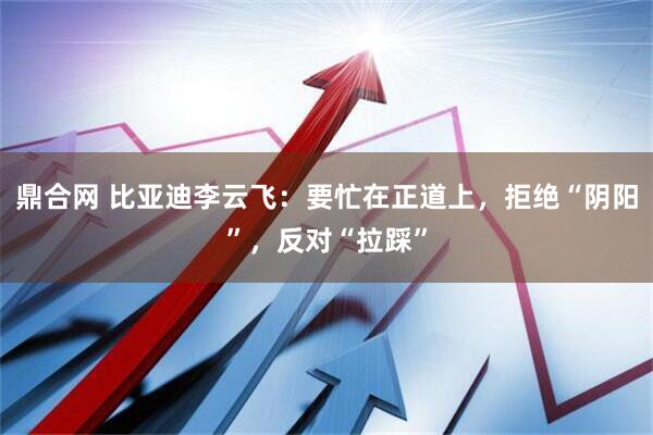 鼎合网 比亚迪李云飞：要忙在正道上，拒绝“阴阳”，反对“拉踩”