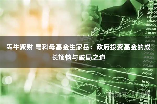 犇牛聚财 粤科母基金生家岳：政府投资基金的成长烦恼与破局之道