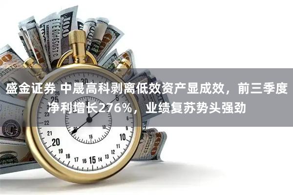 盛金证券 中晟高科剥离低效资产显成效,前三季度净利增长276%,业绩复苏势头强劲