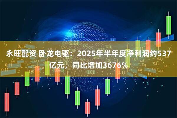 永旺配资 卧龙电驱:2025年半年度净利润约537亿元,同比增加3676%