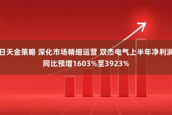 日天金策略 深化市场精细运营 双杰电气上半年净利润同比预增1603%至3923%