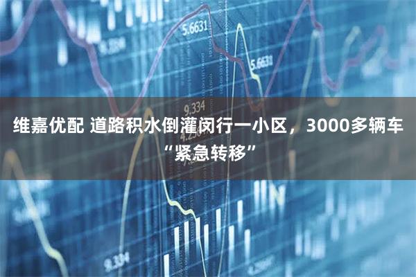 维嘉优配 道路积水倒灌闵行一小区，3000多辆车“紧急转移”