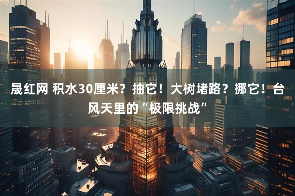 晟红网 积水30厘米？抽它！大树堵路？挪它！台风天里的“极限挑战”