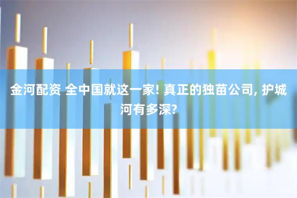 金河配资 全中国就这一家! 真正的独苗公司, 护城河有多深?